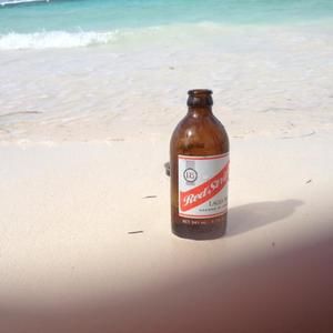 Meet your Posher, Shaun